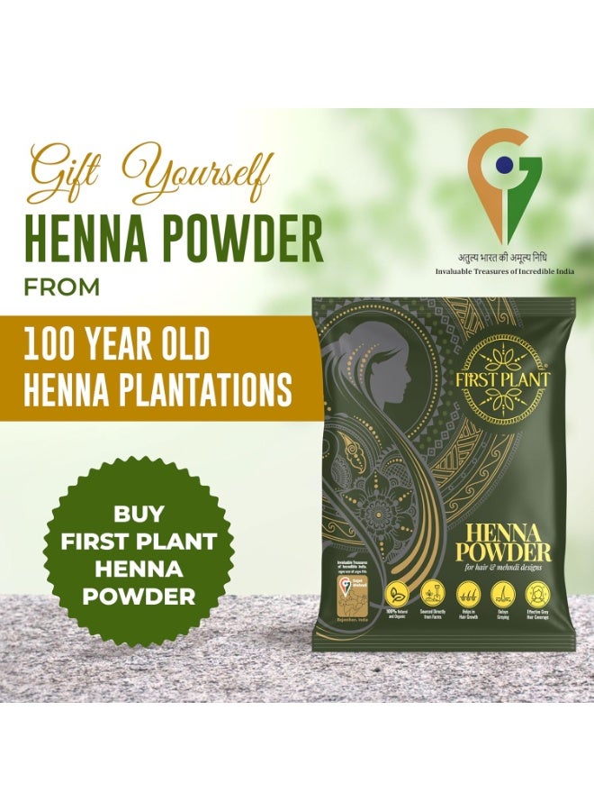 FIRST PLANT Premium Rajasthani HENNA POWDER | 100% Organic Henna Powder for Hair Colour and Hair Care I GI Tagged Henna directly from Farms (350 gm) - Image 2